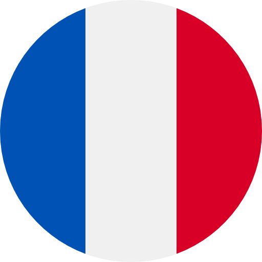 VI Academy French Language course