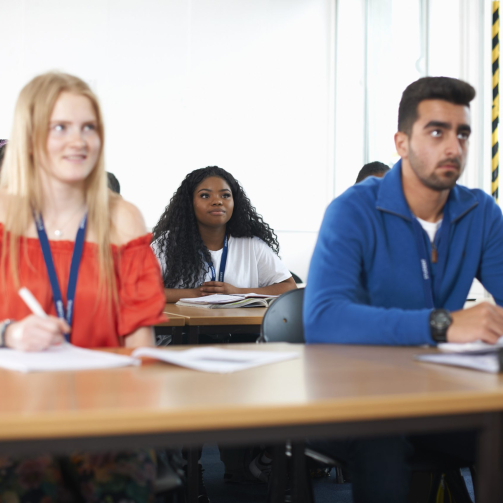 ElementEnvato_ERQ33A7-scaled