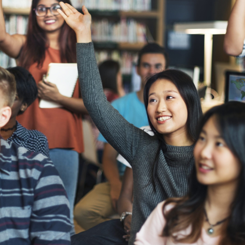 ElementEnvato_YG8KVG6-scaled